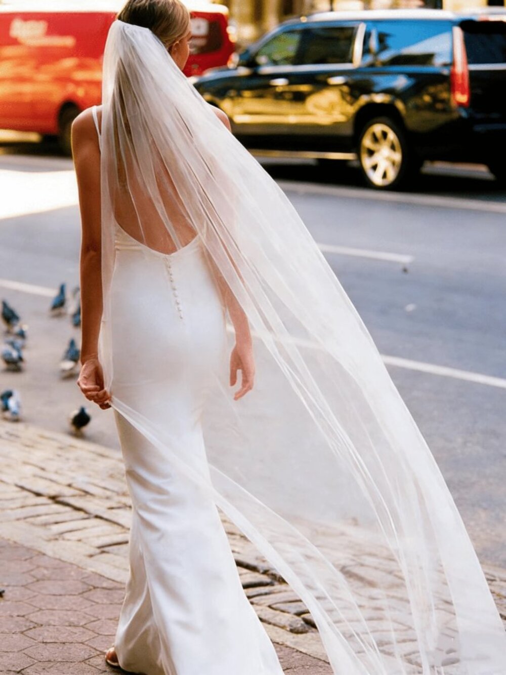 Bridal Veil with Metal Comb cathedral